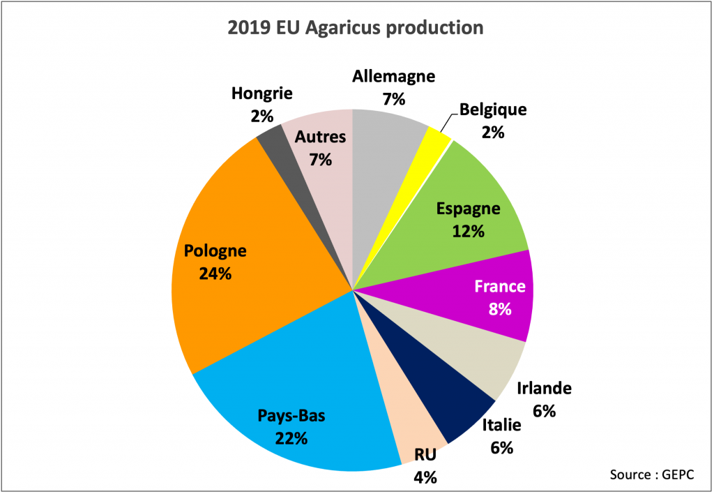 2019 EU production
