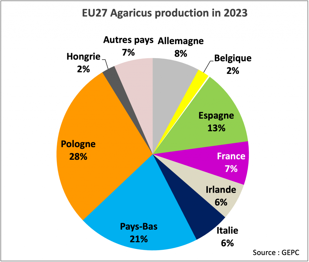 2023 EU production